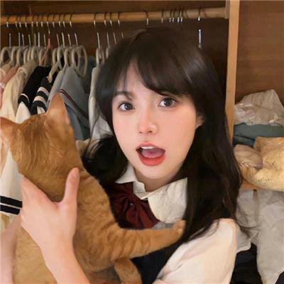 战国妖狐救世姐弟篇